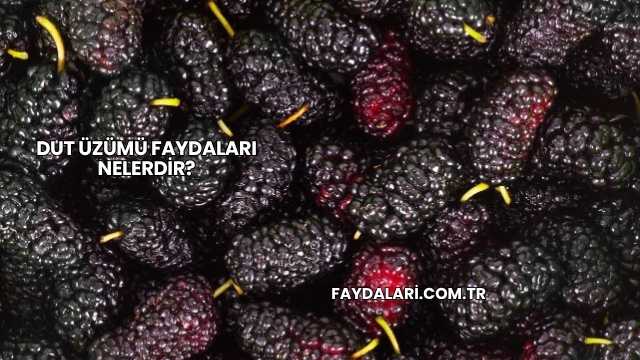 Dut Üzümü Faydaları Nelerdir?