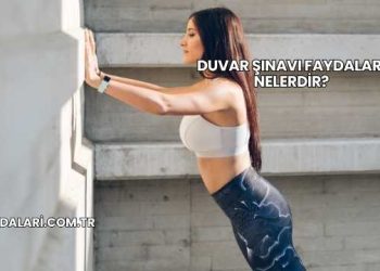 Duvar Şınavı Faydaları Nelerdir?