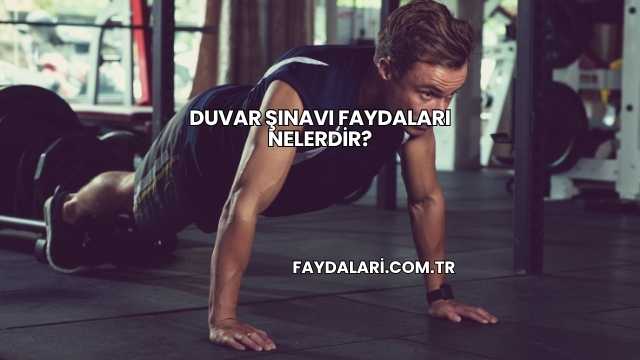 Duvar Şınavı Faydaları Nelerdir?