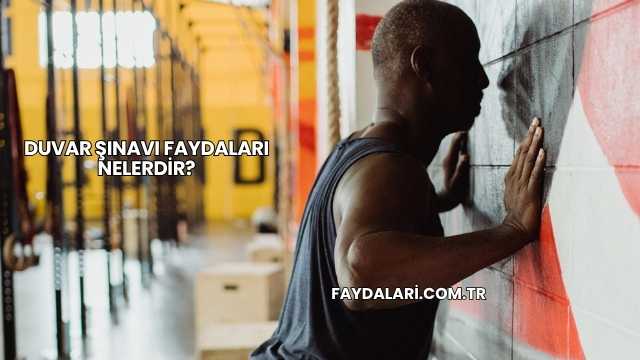 Duvar Şınavı Faydaları Nelerdir?