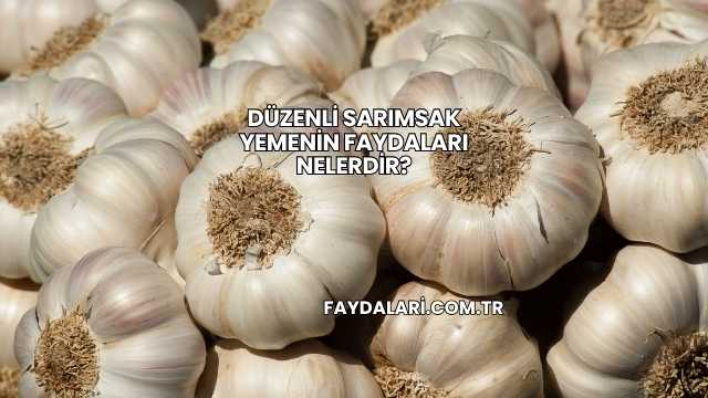 Düzenli Sarımsak Yemenin Faydaları Nelerdir?
