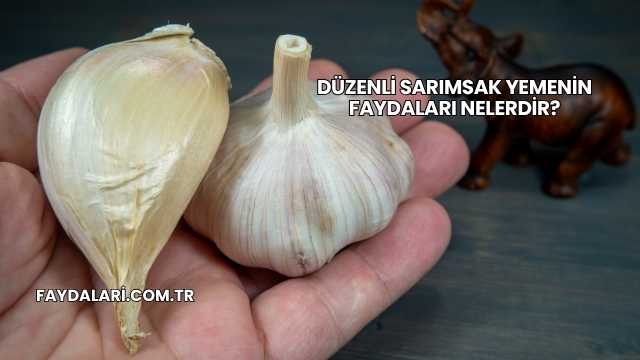 Düzenli Sarımsak Yemenin Faydaları Nelerdir?
