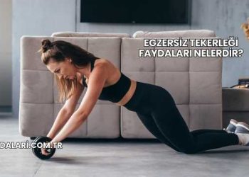 Egzersiz Tekerleği Faydaları Nelerdir?