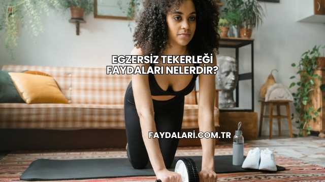 Egzersiz Tekerleği Faydaları Nelerdir?