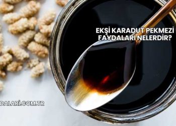 Ekşi Karadut Pekmezi Faydaları Nelerdir?