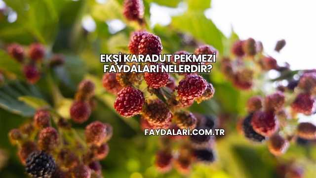 Ekşi Karadut Pekmezi Faydaları Nelerdir?