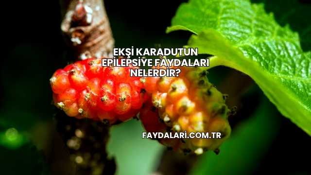 Ekşi Karadutun Epilepsiye Faydaları Nelerdir?