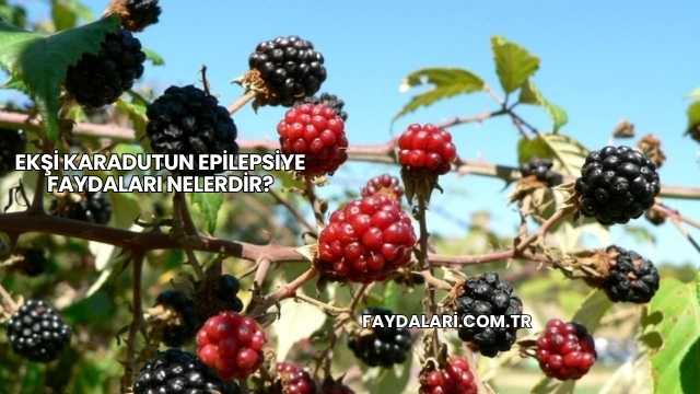 Ekşi Karadutun Epilepsiye Faydaları Nelerdir?