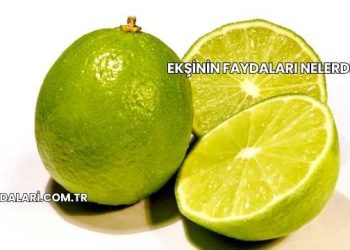 Ekşinin Faydaları Nelerdir?