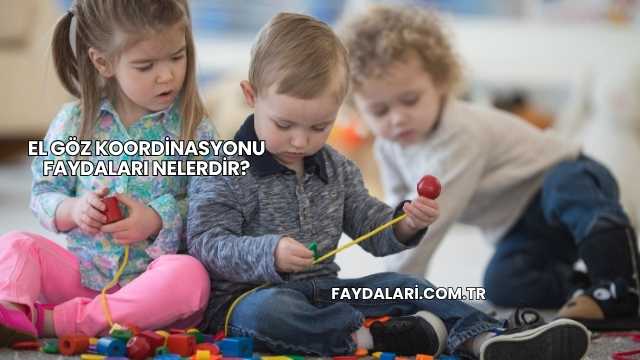 El Göz Koordinasyonu Faydaları Nelerdir?
