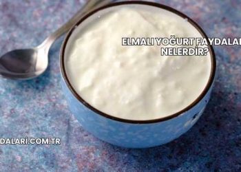 Elmalı Yoğurt Faydaları Nelerdir?