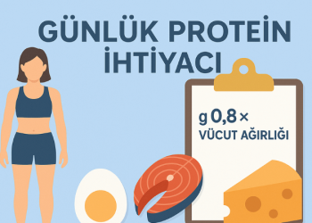 Günlük Protein İhtiyacı Hesaplama
