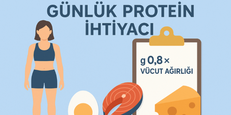 Günlük Protein İhtiyacı Hesaplama