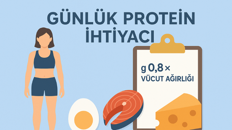 Günlük Protein İhtiyacı Hesaplama