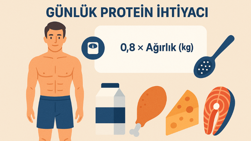 Günlük Protein İhtiyacı Hesaplama