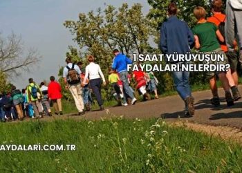 1 Saat Yürüyüşün Faydaları Nelerdir?