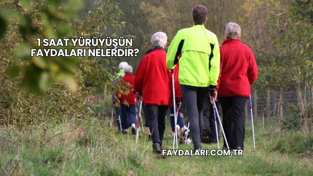 1 Saat Yürüyüşün Faydaları Nelerdir?