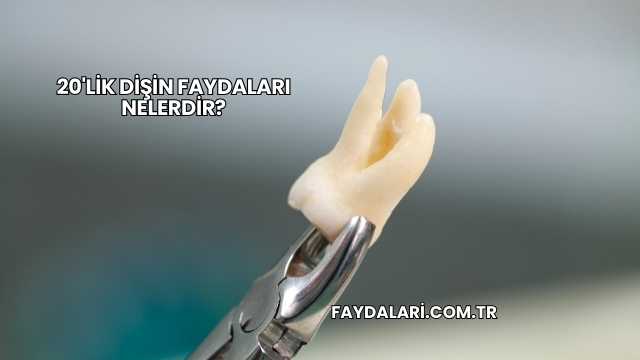 20'lik Dişin Faydaları Nelerdir?