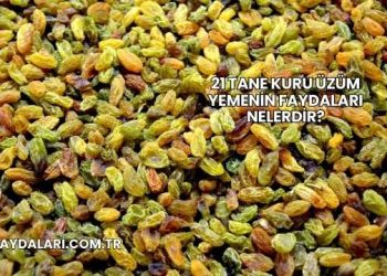 21 Tane Kuru Üzüm Yemenin Faydaları Nelerdir?