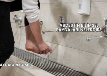 Abdestin Bilimsel Faydaları Nelerdir?