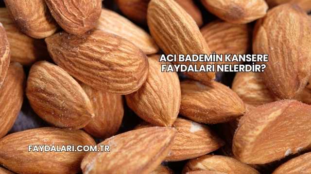 Acı Bademin Kansere Faydaları Nelerdir?