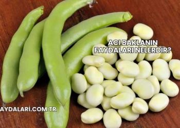 Acı Baklanın Faydaları Nelerdir?