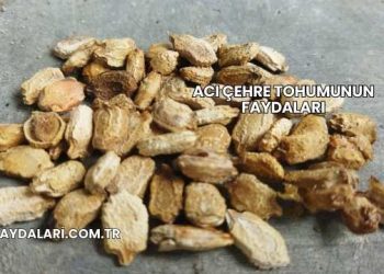 Acı Çehre Tohumunun Faydaları