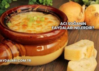 Acı Soğanın Faydaları Nelerdir?