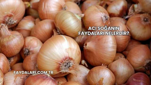 Acı Soğanın Faydaları Nelerdir?