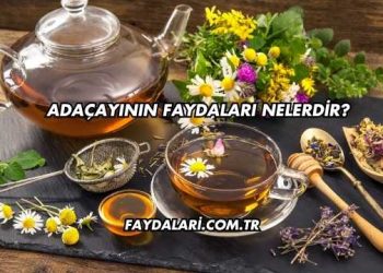Adaçayının Faydaları Nelerdir?