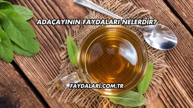 Adaçayının Faydaları Nelerdir?