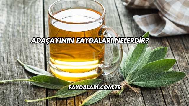 Adaçayının Faydaları Nelerdir?