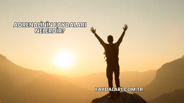 Adrenalinin Faydaları Nelerdir?
