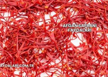 Afgan Safranı Faydaları