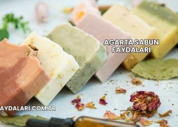 Agarta Sabun Faydaları