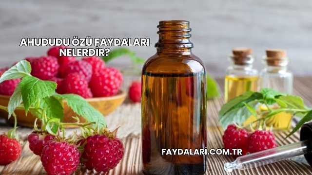 Ahududu Özü Faydaları Nelerdir?
