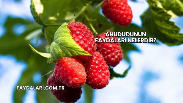 Ahududunun Faydaları Nelerdir?