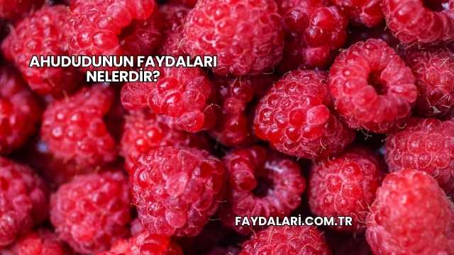 Ahududunun Faydaları Nelerdir?