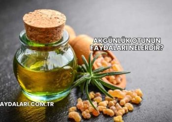 Akgünlük Otunun Faydaları Nelerdir?