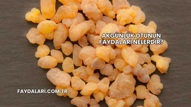 Akgünlük Otunun Faydaları Nelerdir?