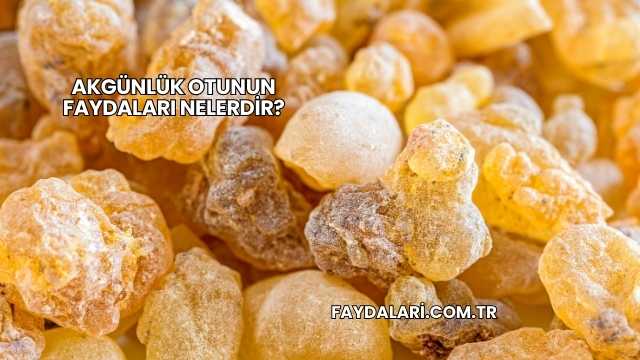 Akgünlük Otunun Faydaları Nelerdir?