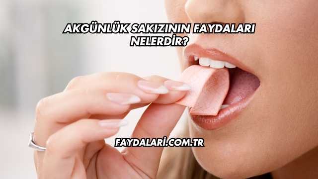 Akgünlük Sakızının Faydaları Nelerdir?