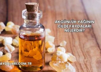 Akgünlük Yağının Cilde Faydaları Nelerdir?