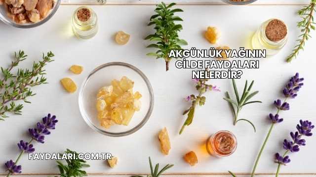 Akgünlük Yağının Cilde Faydaları Nelerdir?
