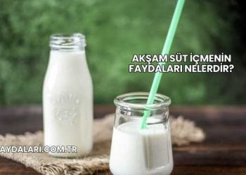 Akşam Süt İçmenin Faydaları Nelerdir?
