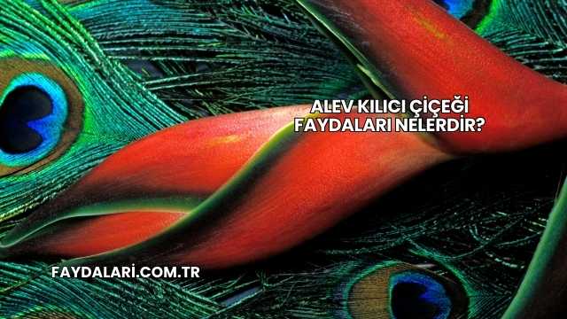 Alev Kılıcı Çiçeği Faydaları Nelerdir?