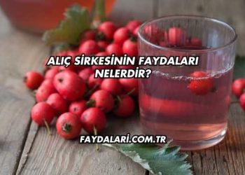 Alıç Sirkesinin Faydaları Nelerdir?