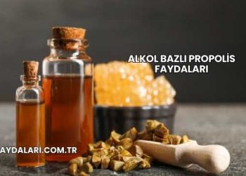 Alkol Bazlı Propolis Faydaları