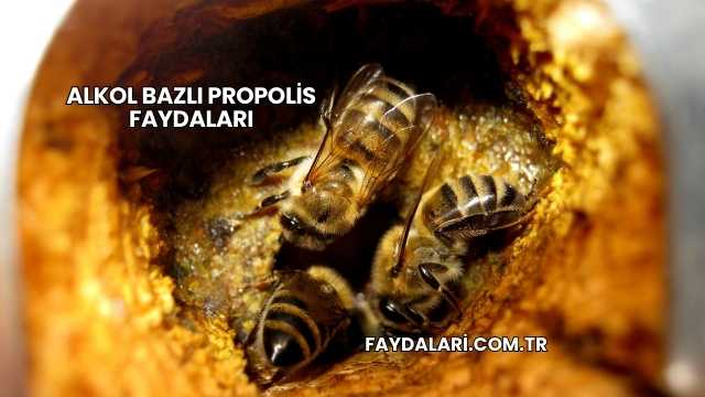 Alkol Bazlı Propolis Faydaları