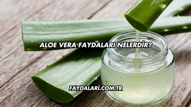 Aloe Vera Faydaları Nelerdir?